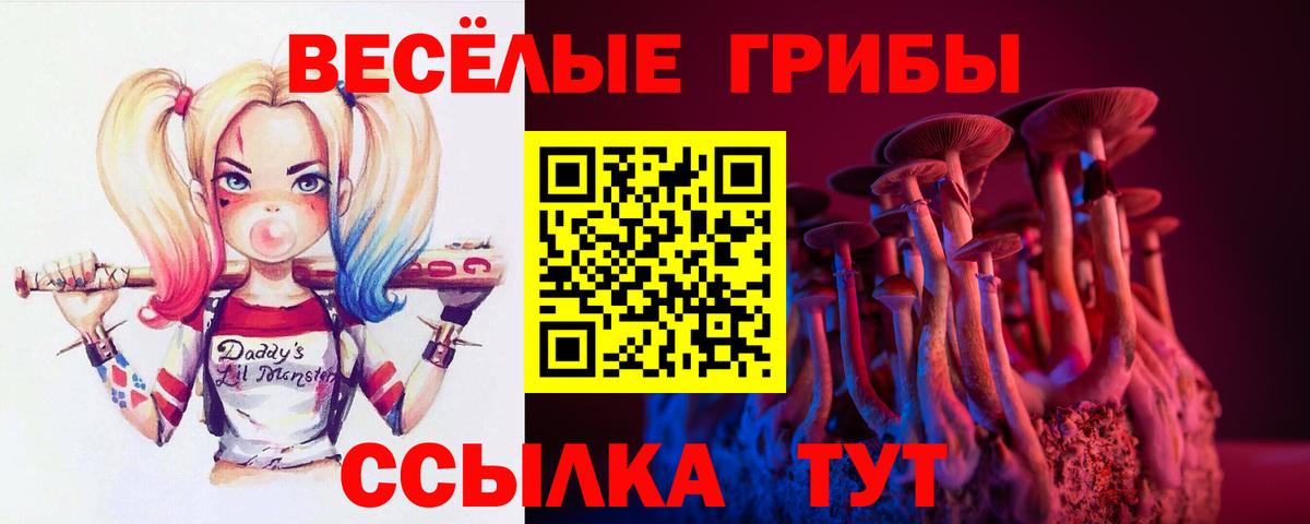 Псилоцибиновые грибы прущие грибы Муром